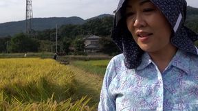 M979g06 *** Shooting of a Mature Woman While Harvesting Rice! a Nave Country Mature Woman in Her 60S Who Decided to Appear I