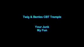 Your Junk, My Fun