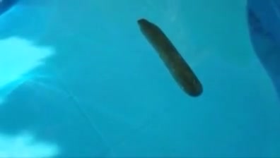 Extreme dilation anal and pee hole