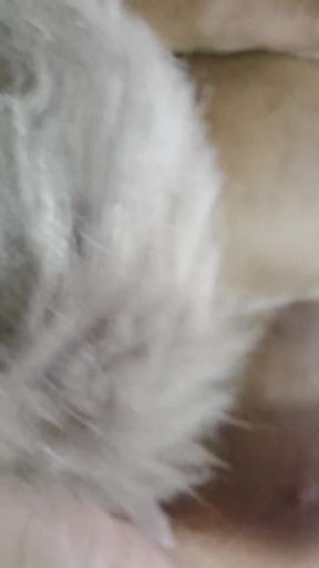 Play with Butt Plug Tail!   Clip 1