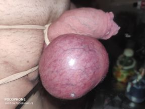 Tied cock and balls. Bondage. Small cock