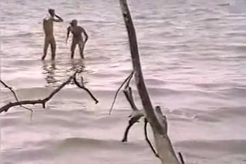 Vintage Bleisch Nutz