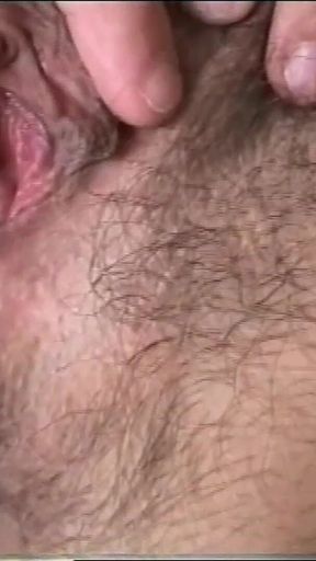The Hairy Pussy Licked