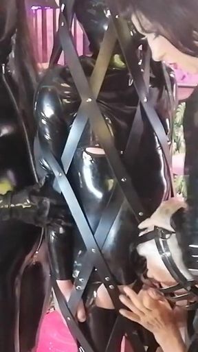 Bi in Bondage