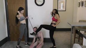 Sniff our trainers & eat our socks