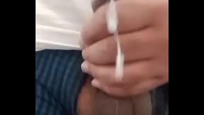 Pajas parado 3