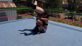 Piledriver Battle