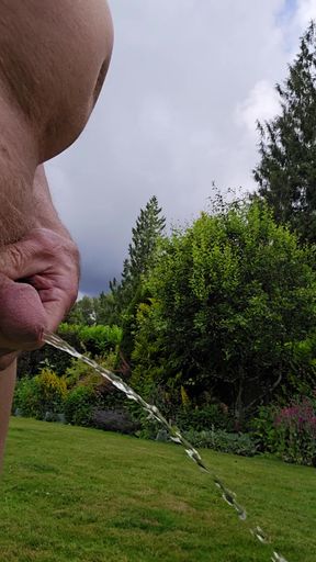 Pissing Again
