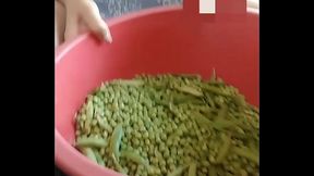 Mala  radno ovog dana