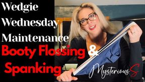 Wedgie Wednesday Maintenance Punishments for the School Bully