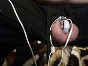 My tiny spun penis in chastity cage an electric shock torture for hours