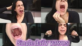 Single daily yawns