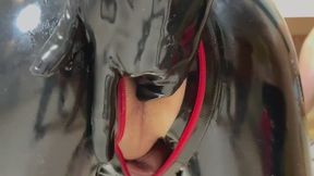 Pegging my two slaves in the kitchen