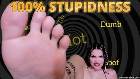 100% STUPIDNESS