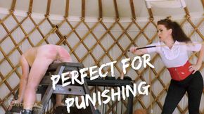 Perfect for Punishing