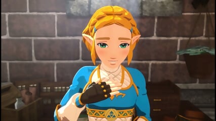 Links adventures (legend of Zelda)