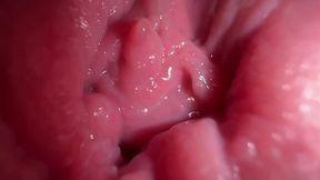 Intense close-up dirty talk and spread action