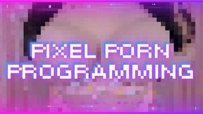 Pixel Porn Programming (1080 WMV)