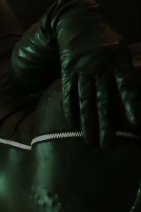 Catwoman Supervillain Fantasies