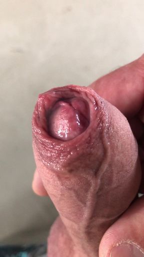 My dick week