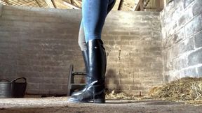Down The Stables