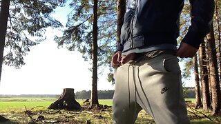 Man masturbates in public and ejaculates