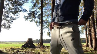 Man masturbates in public and ejaculates