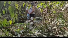 the lost florest!