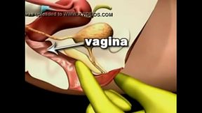 Como estimular el punto G