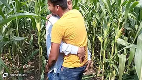 Indian Gay - Today Collage Boy & College Teacher I Saw A Corn Field Side Of The Forest So I Enjoyed Going To The Corn Field