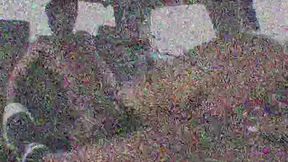 This White Chick Is Only Good for Hard Fuck Sessions with Two Horny Black Dudes