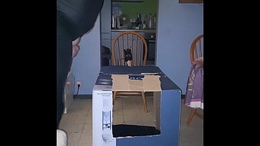 Analzebutt sissy surprise in a box