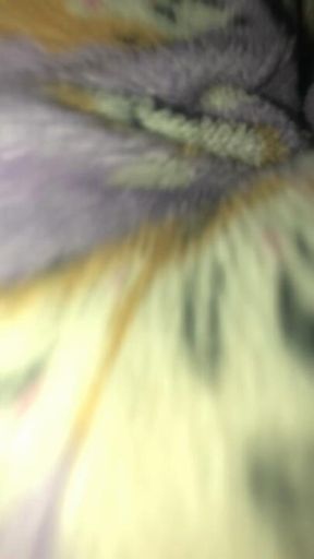Fart