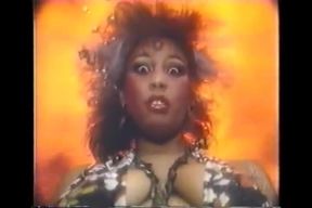 Afro Erotica Volume 11