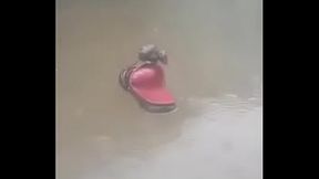 Minnie sendo fodida pela chuva ficou toda molhadinha. #MickeyCorno