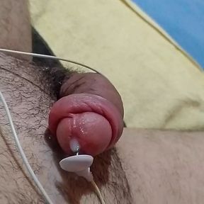 Electric Shock On The Cock And Enjoying Yummy With Surprise At The End