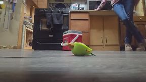 Chrissy candid boots in kitchen