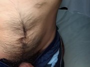 The Hairy Truck Driver, Ep. 1: Stripping down & Rubbing a veiny hairy cock out