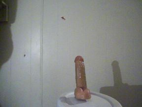 Watch Me Fuck This Ass Pussy