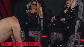 LUDOVICA LUXURY -CANDIDATE FOR COCK SUCKING -mobile