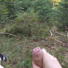 this is how I played while walking in the woods