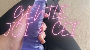 Gentle JOI & CEI For My Little Pet
