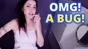 OMG! A BUG!