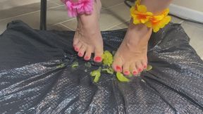 Grape smashing and stomping