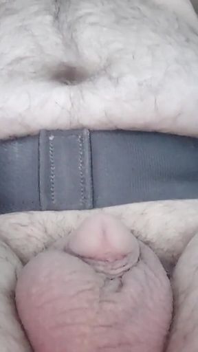 Stress on the Cock