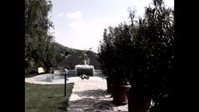 Vulgar Whimsical Pig