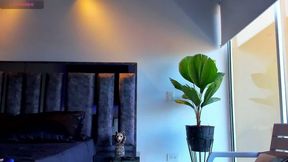 Dion Seans Party on Dec 13, 2025