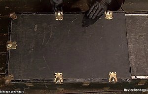 Busty sub trapped in chest gets fucked