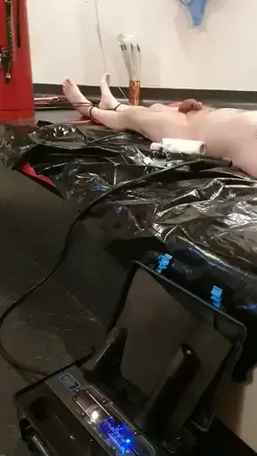 🇬🇧 Slave lies on his back, I inject him procaine in every erectile tissue so that he gets a hard cock. When he is lying in front of me with a hardon, I milk him like a cow with my milking machine. 🇩🇪…