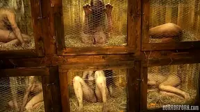 HORRORPORN - Rabbit hutch